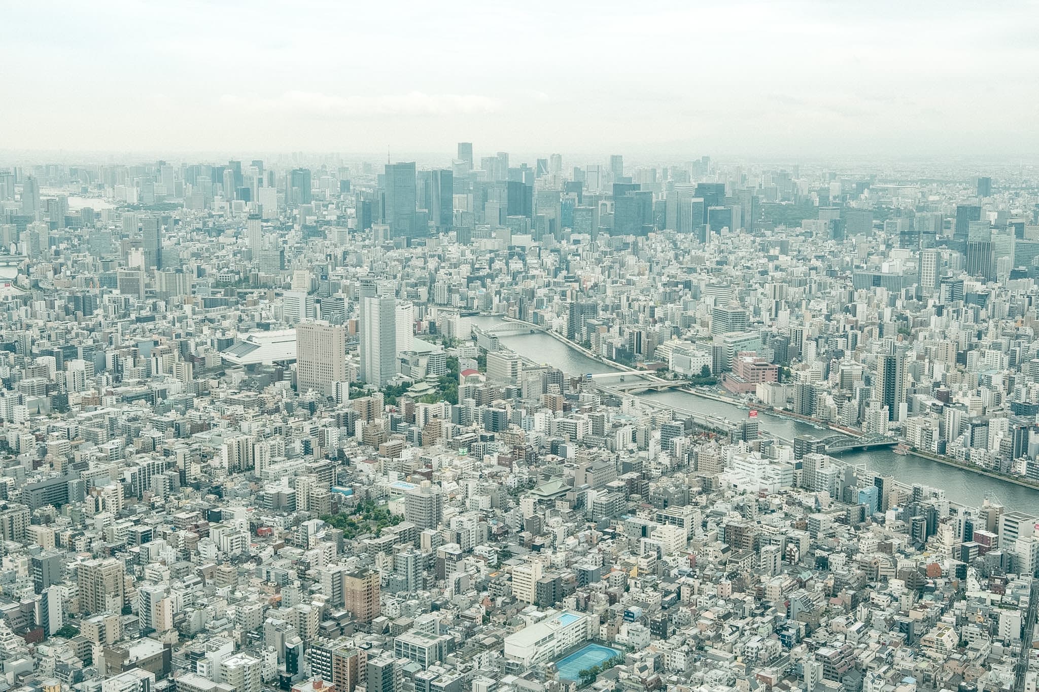 tokyo ① <shinjyuku-ku, shibuya-ku>